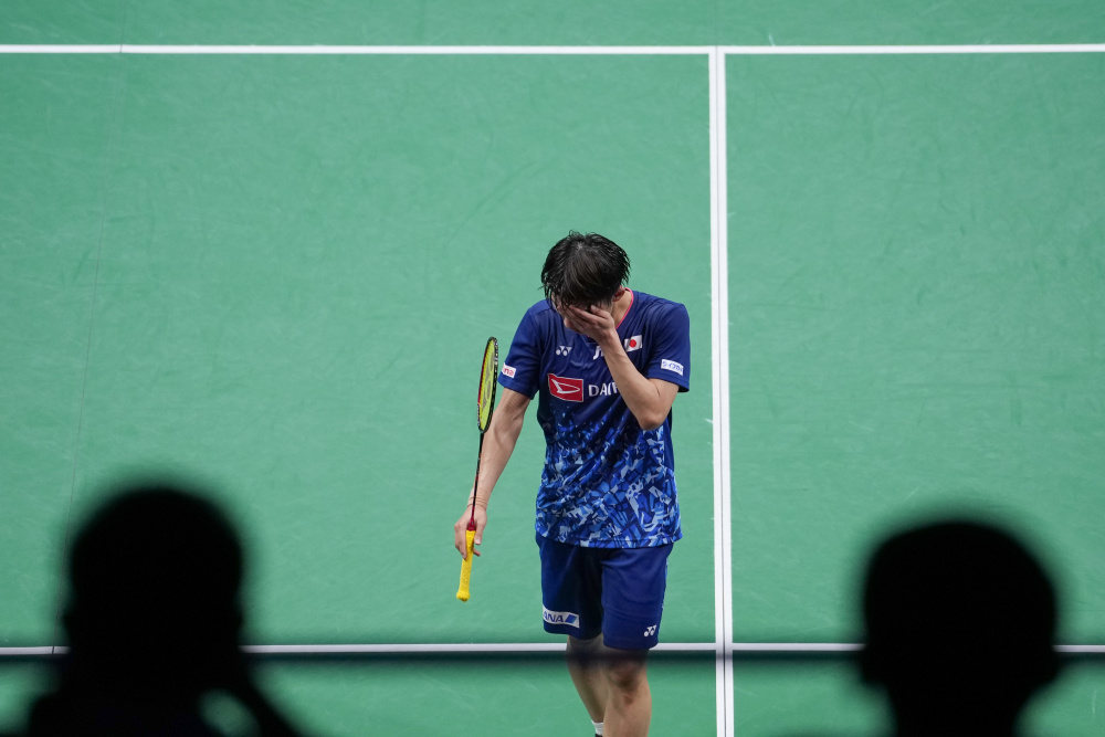 作搭建了桥 作搭建了桥