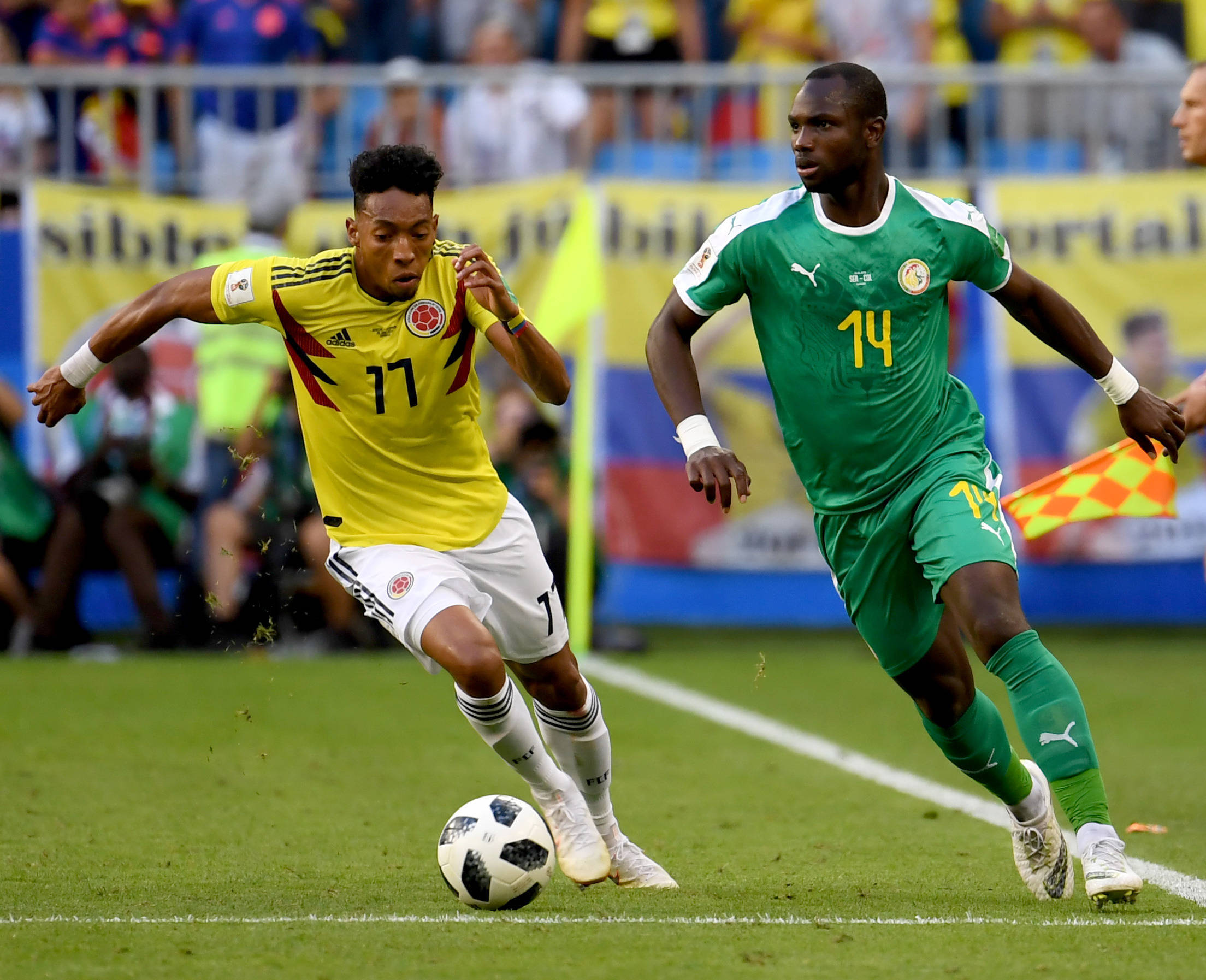 能影响决策 能影响决策