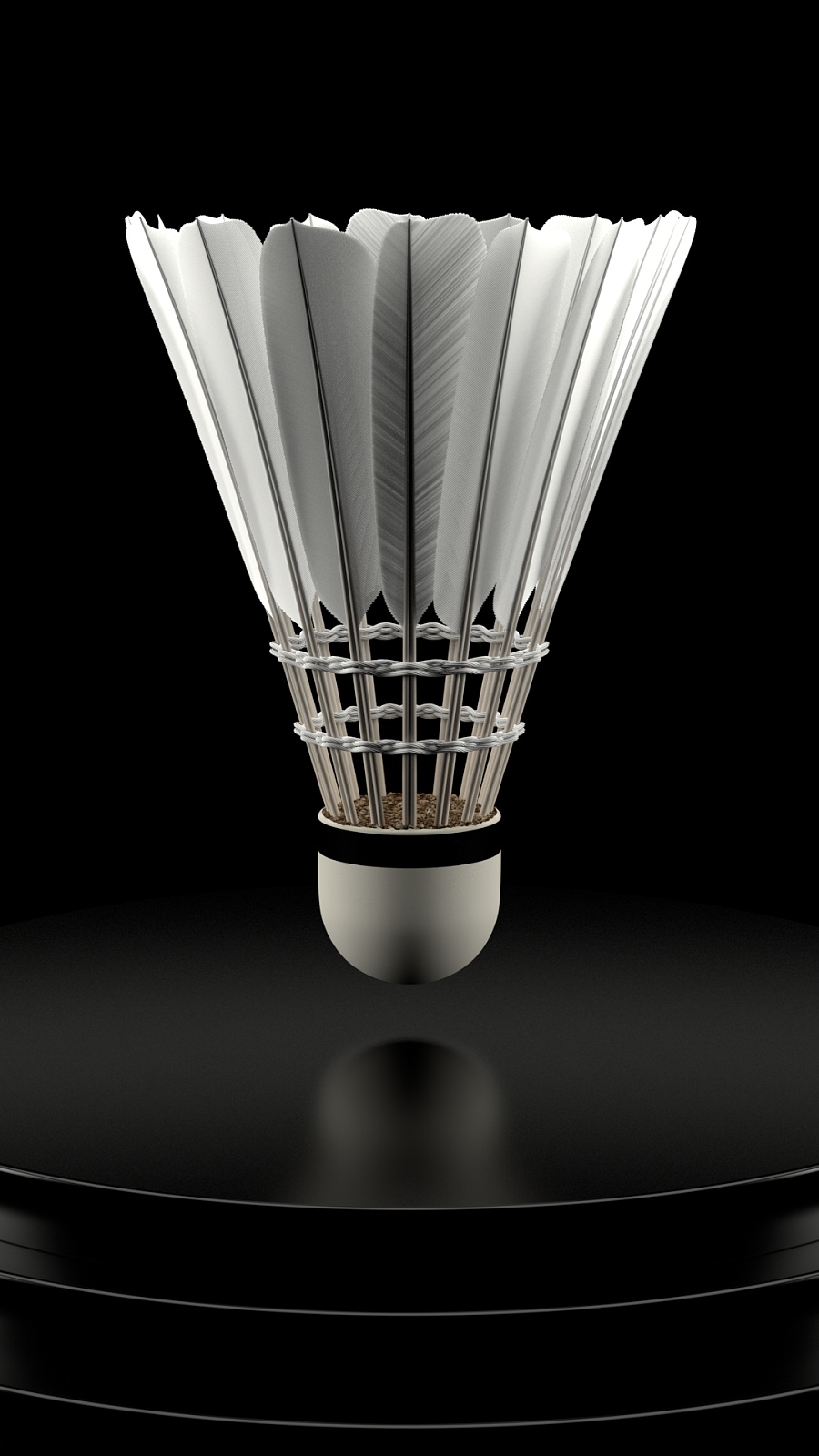 球员的肌肉 球员的肌肉